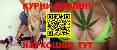гашик Дмитров
