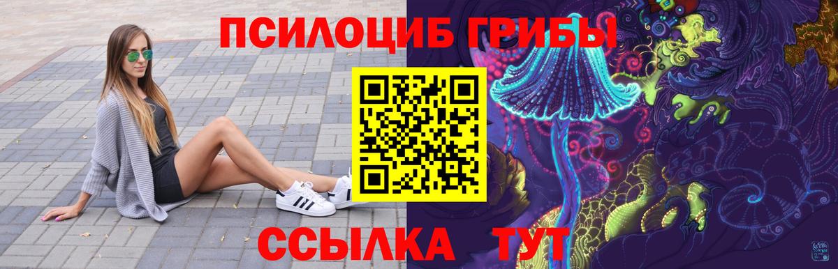 Дзержинский  Псилоцибиновые грибы Magic Shrooms  Вход с VPN 